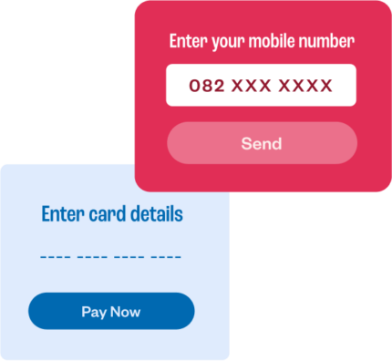 Make Online Purchases with Debit Cards | Payfast by Network