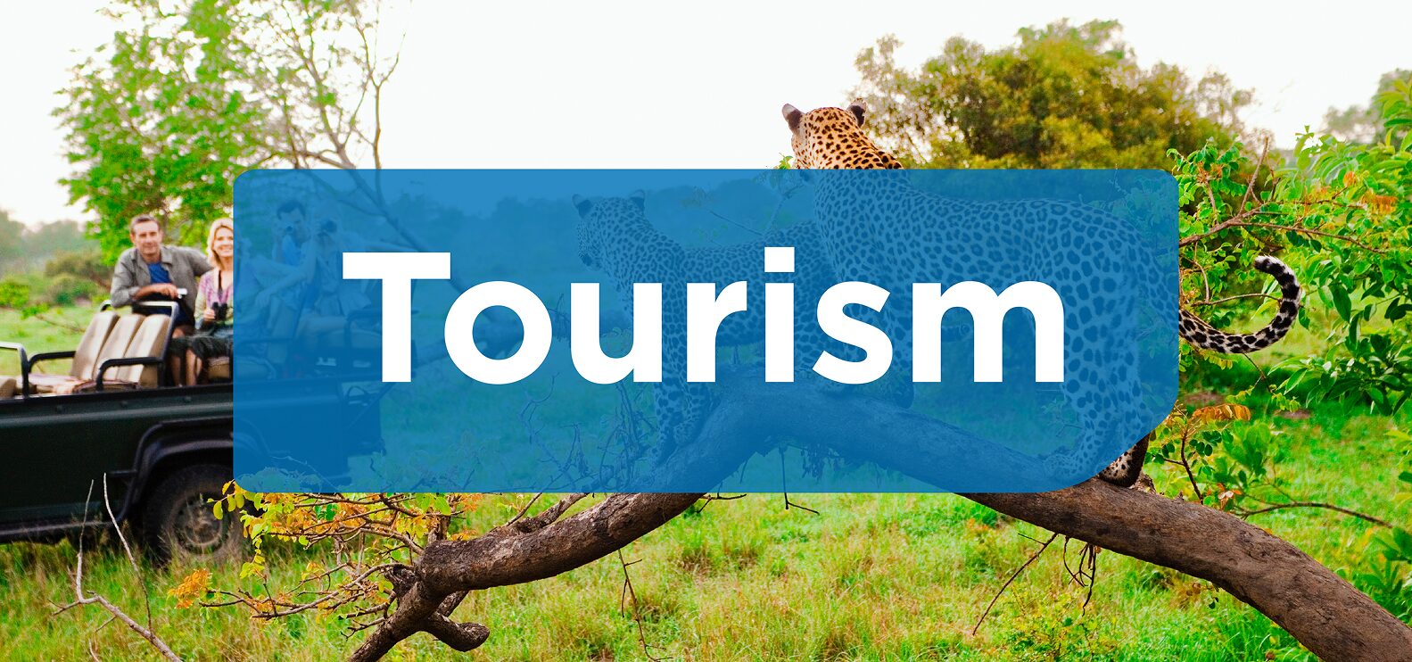 tourism thumbnail
